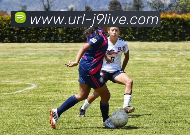 九游娱乐APP 高清赛事图